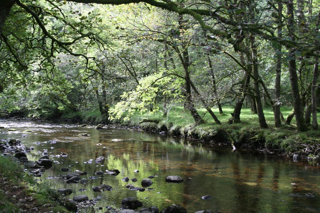 Hotel Nant Ddu &