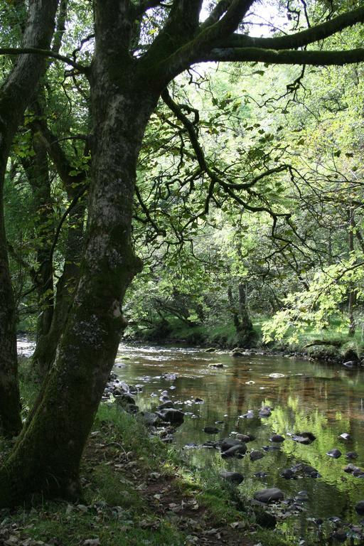 Nant Ddu &